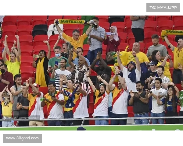 阿联酋足协推出免费直播平台助力球迷观看世预赛赛事